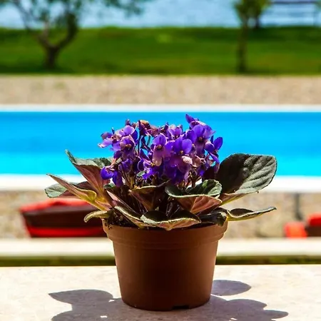 فيلة With 6 Bedrooms In With Private Pool And Wifi *